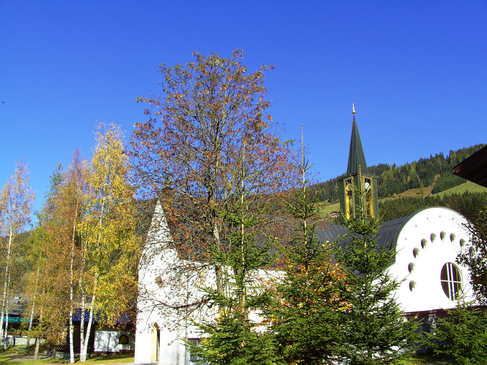 Aussicht vom Ferienhaus Försterlisl